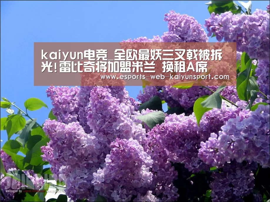 kaiyun电竞_全欧最妖三叉戟被拆光!雷比奇将加盟米兰 换租A席(图3) 开云电竞平台