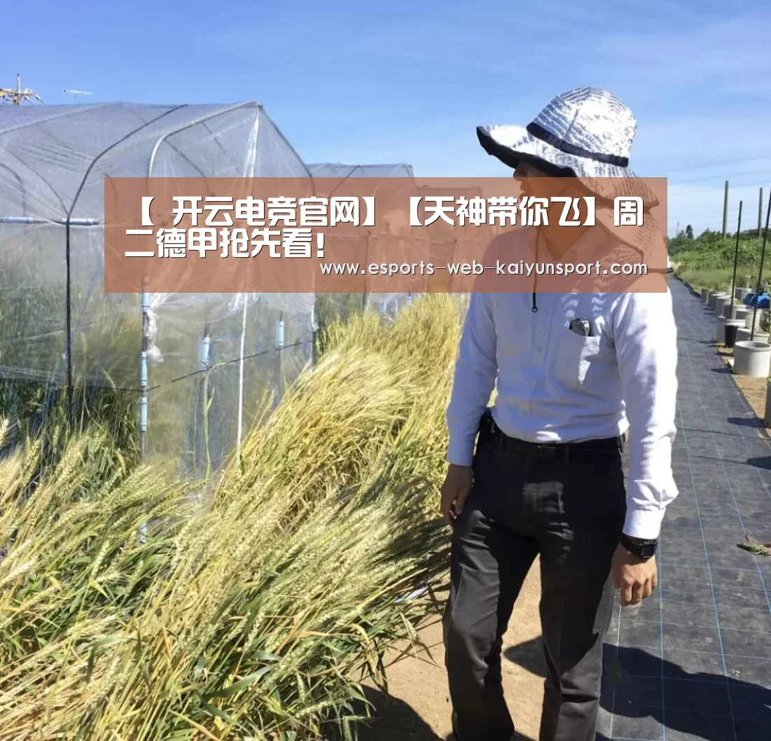  开云电竞官网