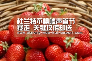 开云电竞